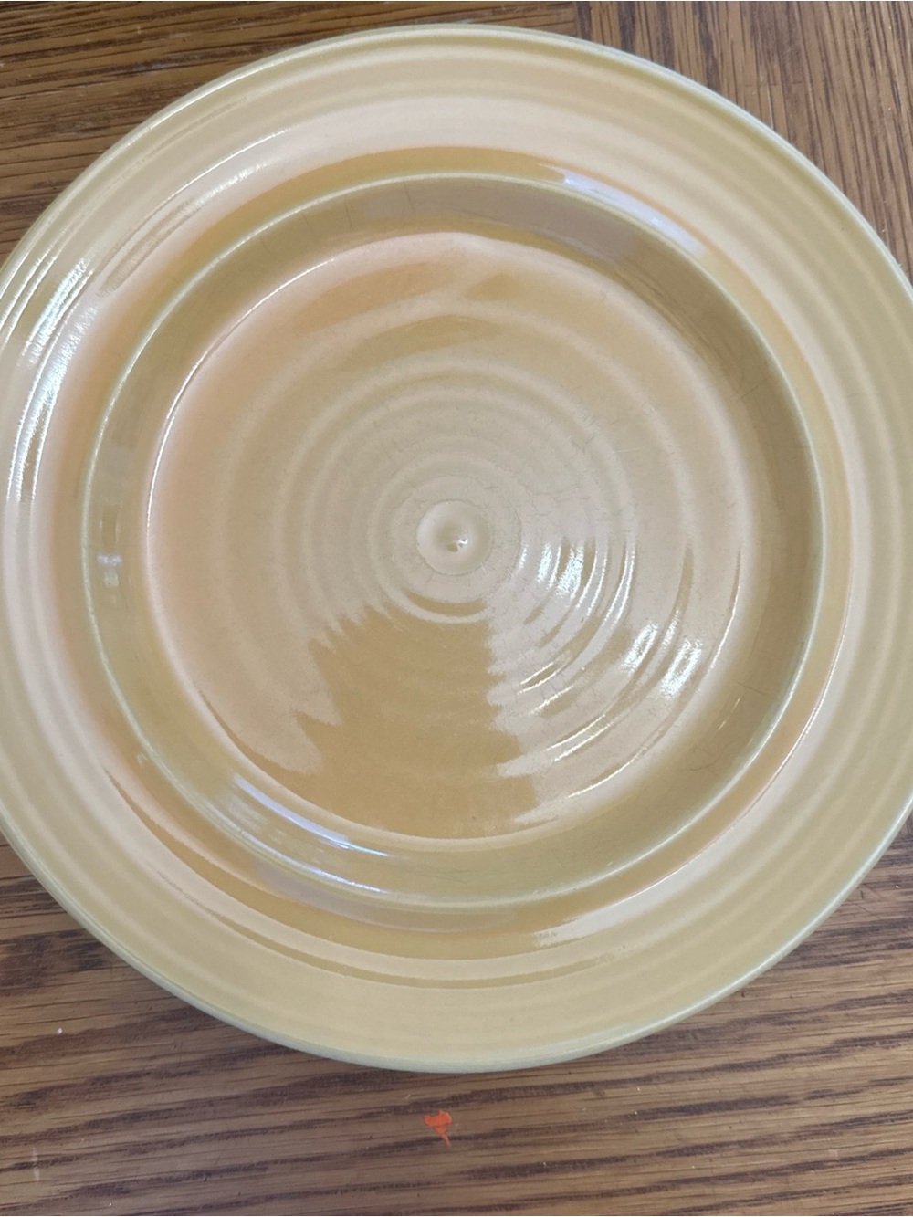 Pier 1 Ceramic Dinner Plate in Soft Yellow marigold